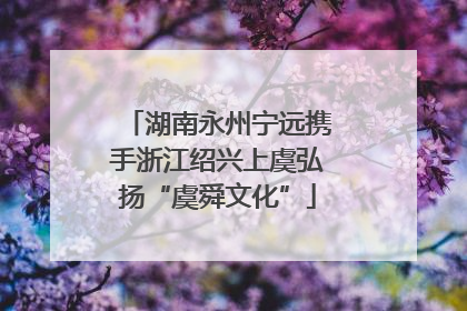 湖南永州宁远携手浙江绍兴上虞弘扬“虞舜文化”