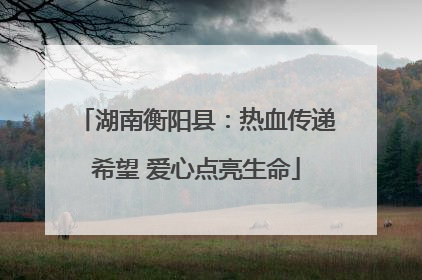 湖南衡阳县：热血传递希望 爱心点亮生命
