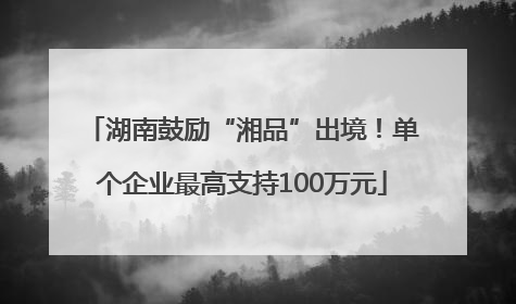 湖南鼓励“湘品”出境！单个企业最高支持100万元
