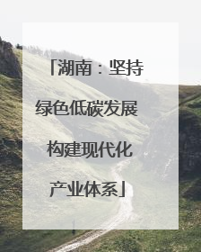 湖南：坚持绿色低碳发展 构建现代化产业体系