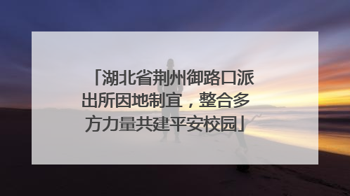 湖北省荆州御路口派出所因地制宜，整合多方力量共建平安校园