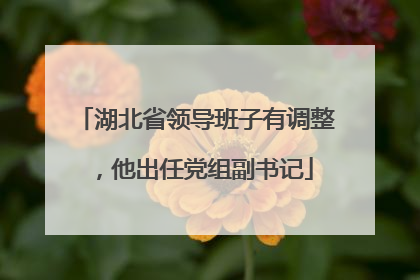 湖北省领导班子有调整，他出任党组副书记