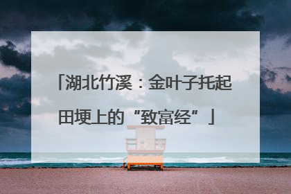 湖北竹溪：金叶子托起田埂上的“致富经”