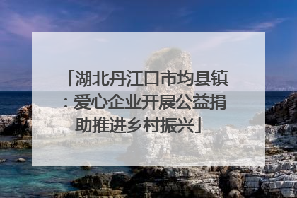 湖北丹江口市均县镇：爱心企业开展公益捐助推进乡村振兴