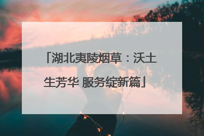 湖北夷陵烟草：沃土生芳华 服务绽新篇