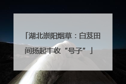 湖北崇阳烟草：白芨田间扬起丰收“号子”