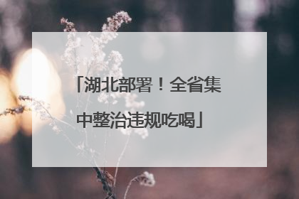 湖北部署！全省集中整治违规吃喝