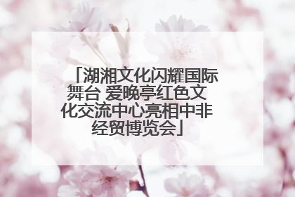 湖湘文化闪耀国际舞台 爱晚亭红色文化交流中心亮相中非经贸博览会