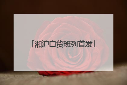 湘沪白货班列首发