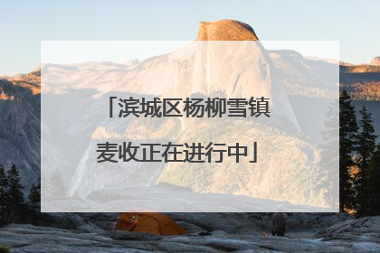 滨城区杨柳雪镇麦收正在进行中