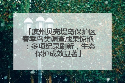 滨州贝壳堤岛保护区春季鸟类调查成果惊艳：多项纪录刷新，生态保护成效显著