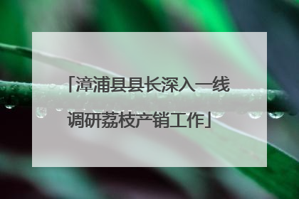 漳浦县县长深入一线调研荔枝产销工作