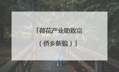 荷花产业助致富（侨乡新貌）