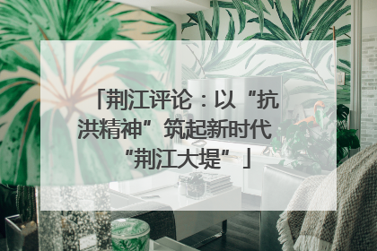 荆江评论：以“抗洪精神”筑起新时代“荆江大堤”