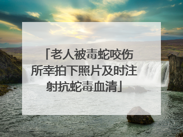 老人被毒蛇咬伤 所幸拍下照片及时注射抗蛇毒血清