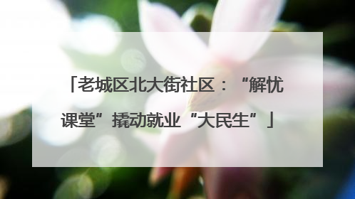 老城区北大街社区：“解忧课堂”撬动就业“大民生”