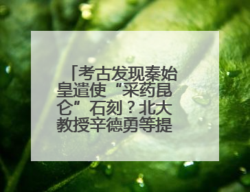 考古发现秦始皇遣使“采药昆仑”石刻？北大教授辛德勇等提出质疑
