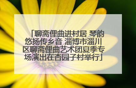 聊斋俚曲进村居 琴韵悠扬传乡音 淄博市淄川区聊斋俚曲艺术团夏季专场演出在杏园子村举行