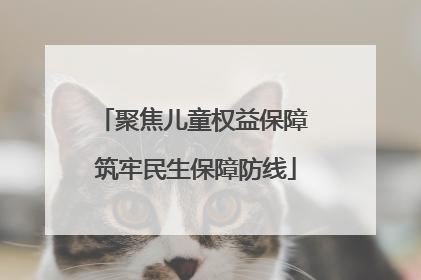 聚焦儿童权益保障 筑牢民生保障防线