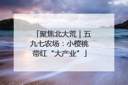 聚焦北大荒｜五九七农场：小樱桃带红“大产业”