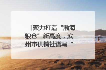 聚力打造“渤海粮仓”新高度，滨州市供销社谱写“三夏”丰收乐章