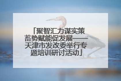 聚智汇力谋实策 蓄势赋能促发展——天津市发改委举行专题培训研讨活动