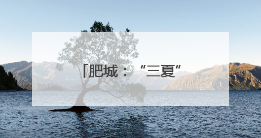 肥城：“三夏”时节金麦浪，供销服务助丰收