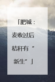 肥城：麦收过后秸秆有“新生”