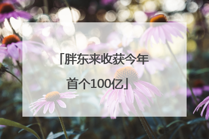 胖东来收获今年首个100亿