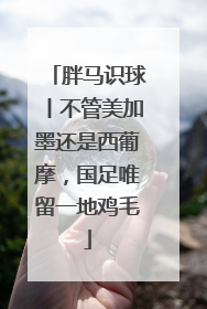 胖马识球丨不管美加墨还是西葡摩，国足唯留一地鸡毛