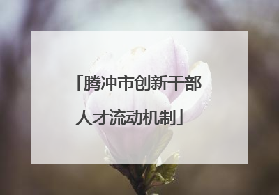 腾冲市创新干部人才流动机制
