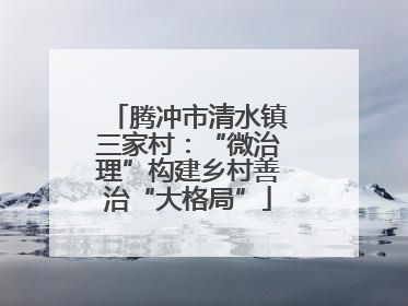 腾冲市清水镇三家村：“微治理”构建乡村善治“大格局”