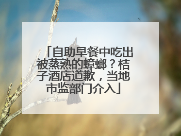 自助早餐中吃出被蒸熟的蟑螂？桔子酒店道歉，当地市监部门介入