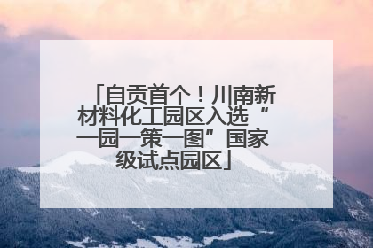 自贡首个！川南新材料化工园区入选“一园一策一图”国家级试点园区