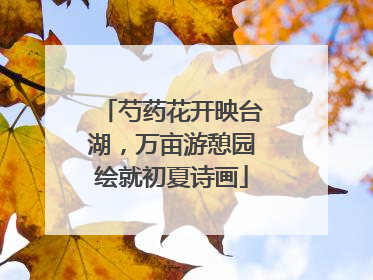 芍药花开映台湖，万亩游憩园绘就初夏诗画