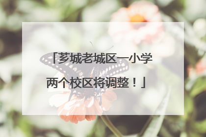 芗城老城区一小学两个校区将调整！