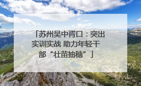 苏州吴中胥口：突出实训实战 助力年轻干部“壮苗抽穗”