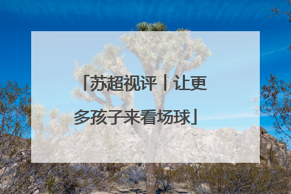 苏超视评︱让更多孩子来看场球