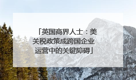 英国商界人士：美关税政策成跨国企业运营中的关键障碍