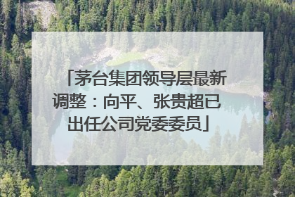 茅台集团领导层最新调整：向平、张贵超已出任公司党委委员