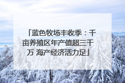 蓝色牧场丰收季：千亩养殖区年产值超三千万 海产经济活力足