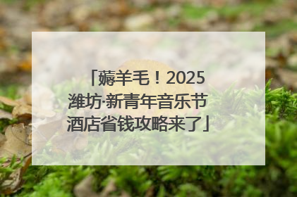 薅羊毛！2025潍坊·新青年音乐节酒店省钱攻略来了