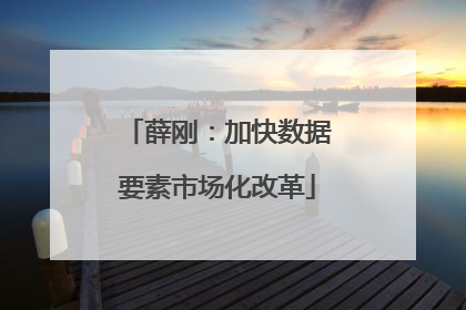 薛刚：加快数据要素市场化改革