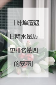 蚌埠遭遇日降水量历史排名第四的暴雨