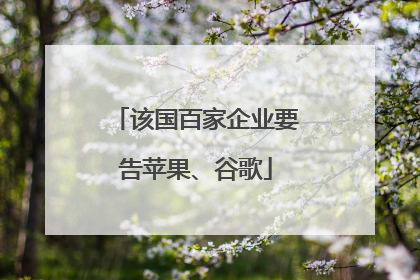该国百家企业要告苹果、谷歌
