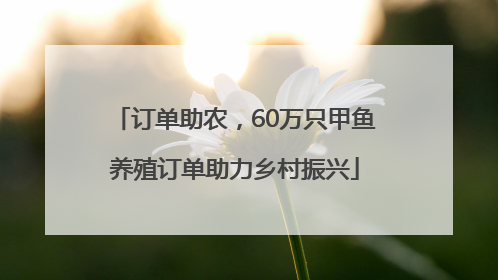 订单助农，60万只甲鱼养殖订单助力乡村振兴