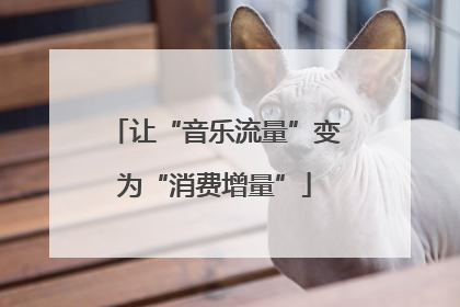 让“音乐流量”变为“消费增量”