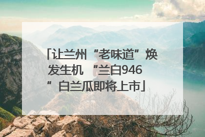 让兰州“老味道”焕发生机 “兰白946”白兰瓜即将上市