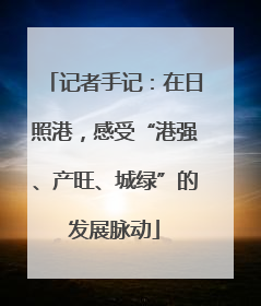 记者手记：在日照港，感受“港强、产旺、城绿”的发展脉动