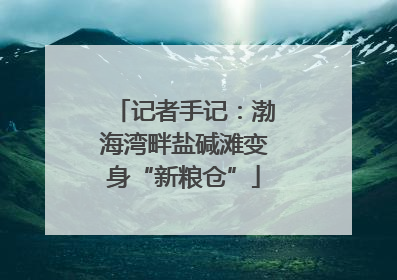 记者手记：渤海湾畔盐碱滩变身“新粮仓”